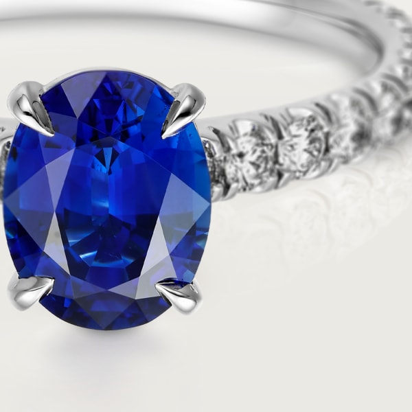 Solitaire 1895 Platinum, sapphire, diamonds